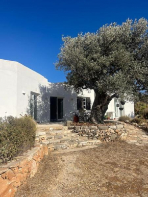 Serene Villa close to Aliki & Paros Airport
